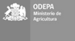 ODEPA